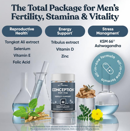 Conception For Him